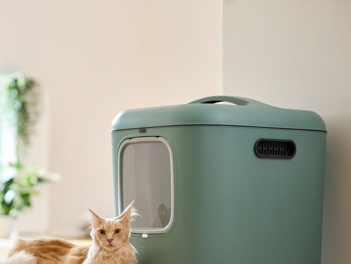 V5H9C1B90340BE30682ABBC2CF7C27D031FR6010246P5