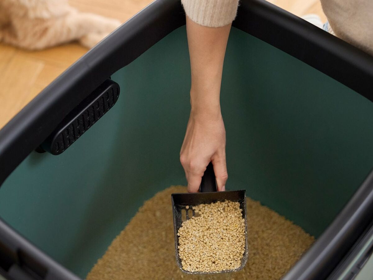 V5H7D6D76CAE9AFCE258A32789E5122AC9BR6010247P6