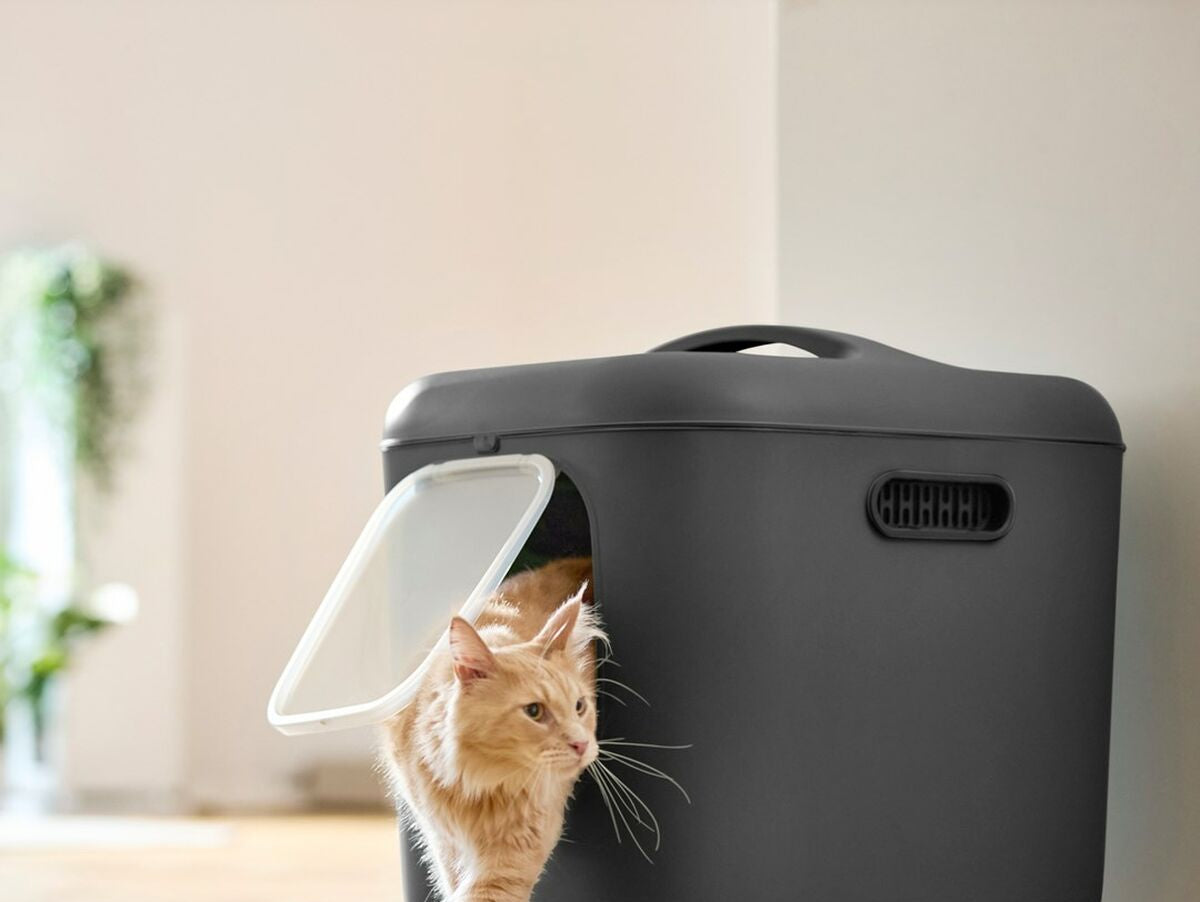 V5H8187514D81585E6F049628DC4F34700ER5624223P5