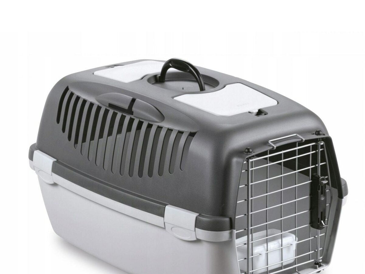 V10H493E782B20CA429ADB10E4E061E08547R6417255P1