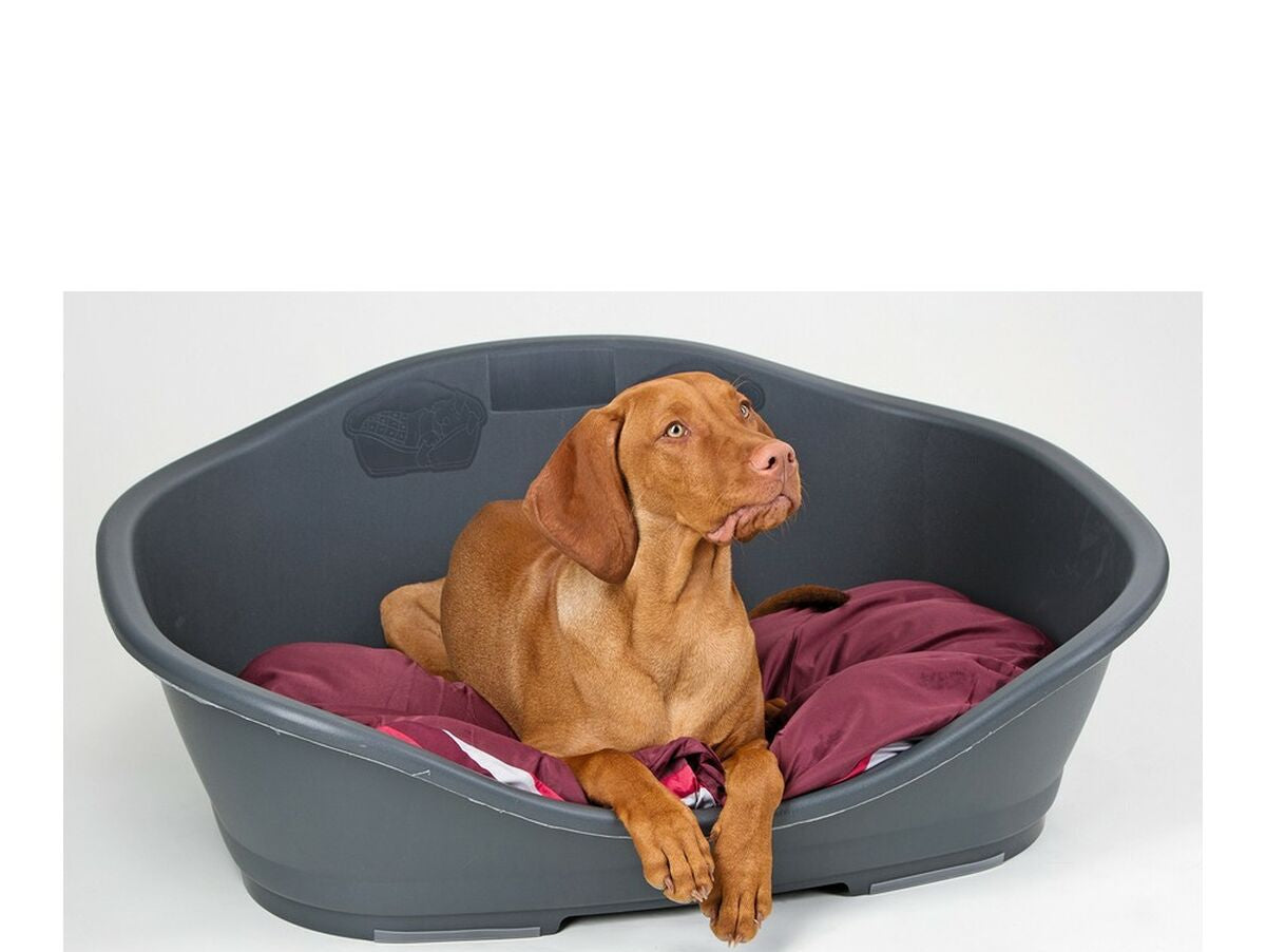 V2H24CBD38EB4F165D42C2E56E7BF80CE67R7471910P4