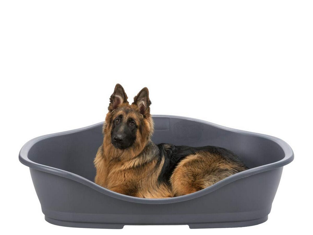 V5H4A81CE0C49C61F22D96E9C517E641CE1R7471626P2