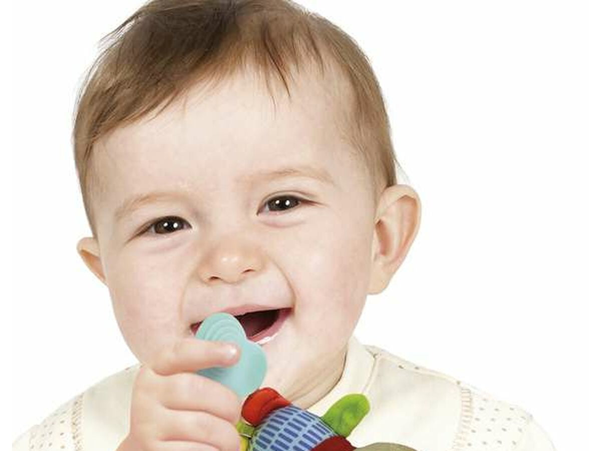 V7H8A98209BB3C99E6FE1F43B55AEEF0BEAR5272215P4