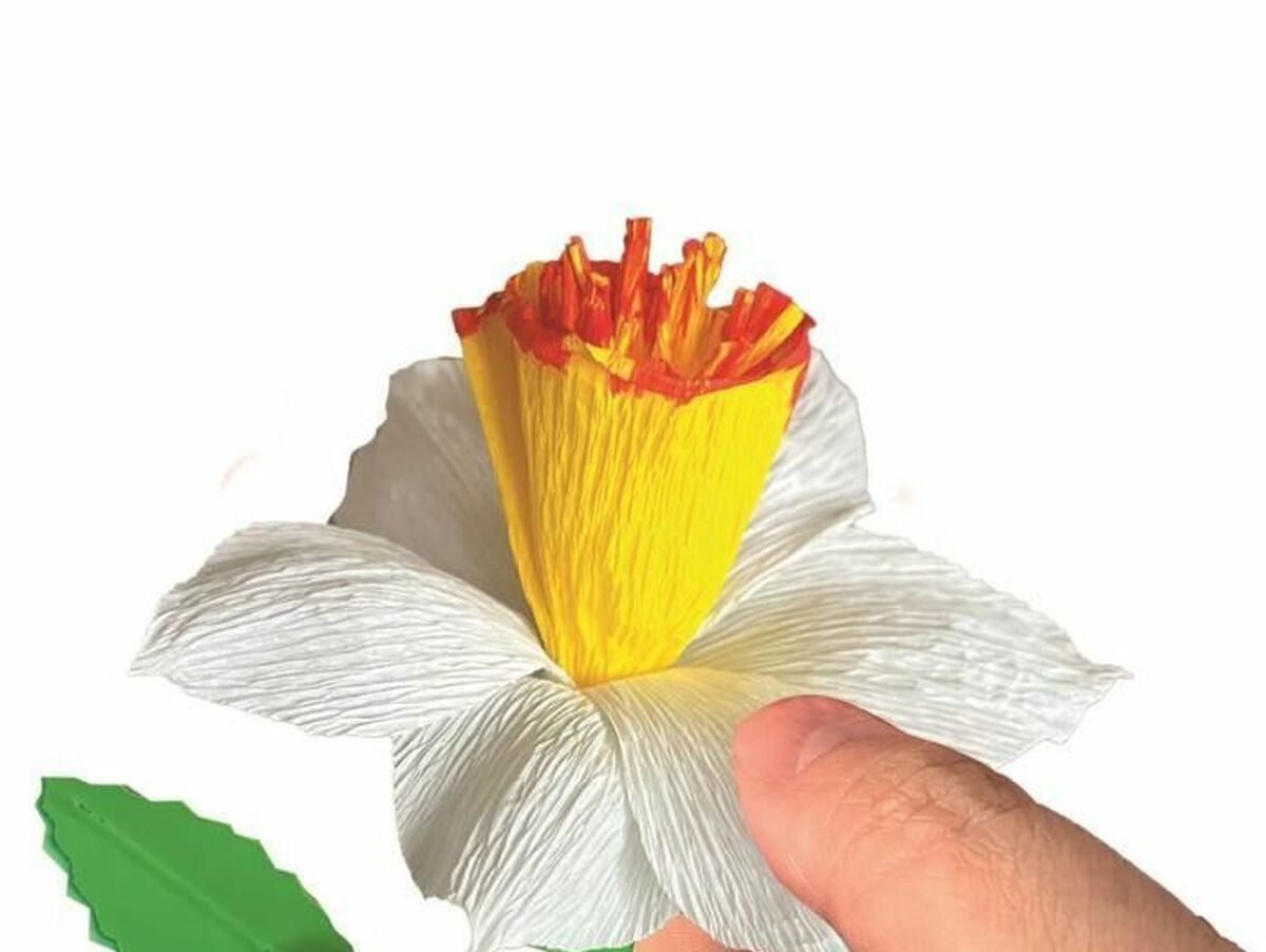 V5HD3EDE3D72C7C245C2418663A14978ADBR5803646P3