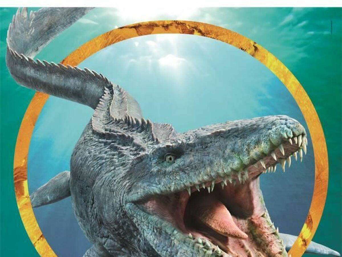 V5H0B49824CEA69DFAE1B4FACFA91A95560R5803465P3