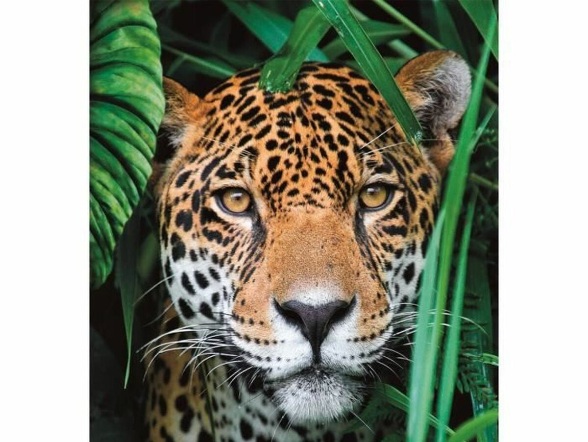 V5H764AAB5566D7F7A75EDCEFC67A0E8B2ER5803432P2