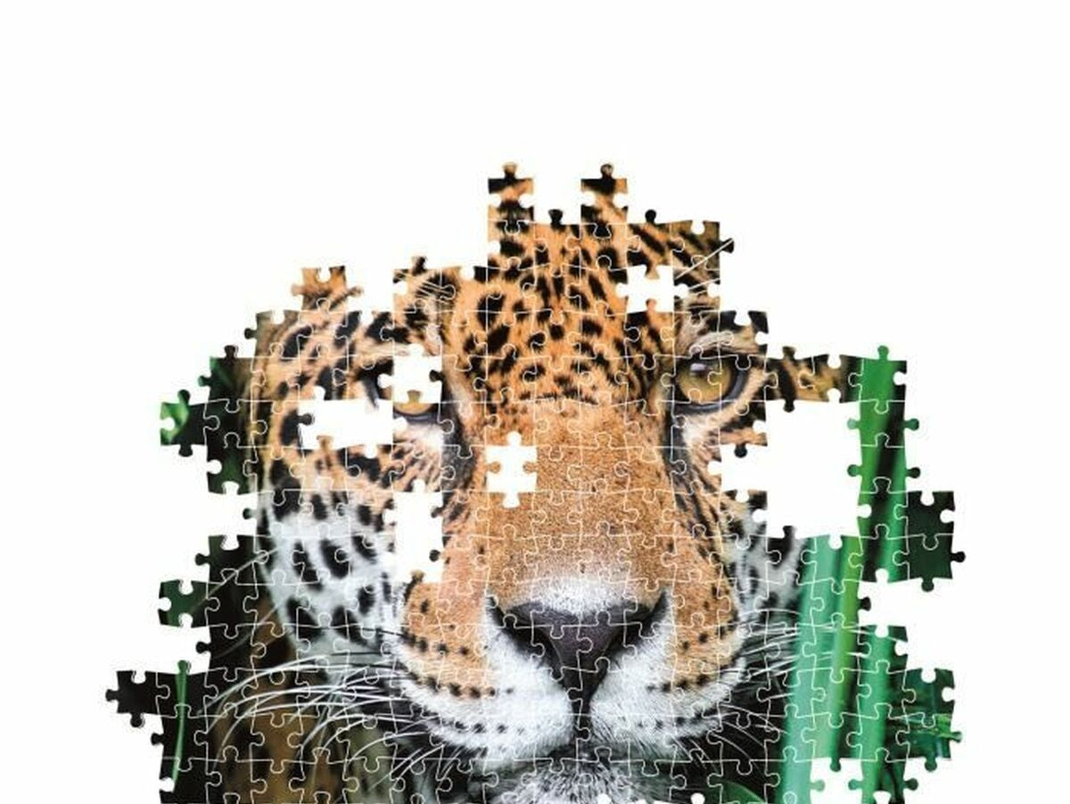 V5H84D1C80AD21647C03A163A6FA88EC4D6R5803433P3