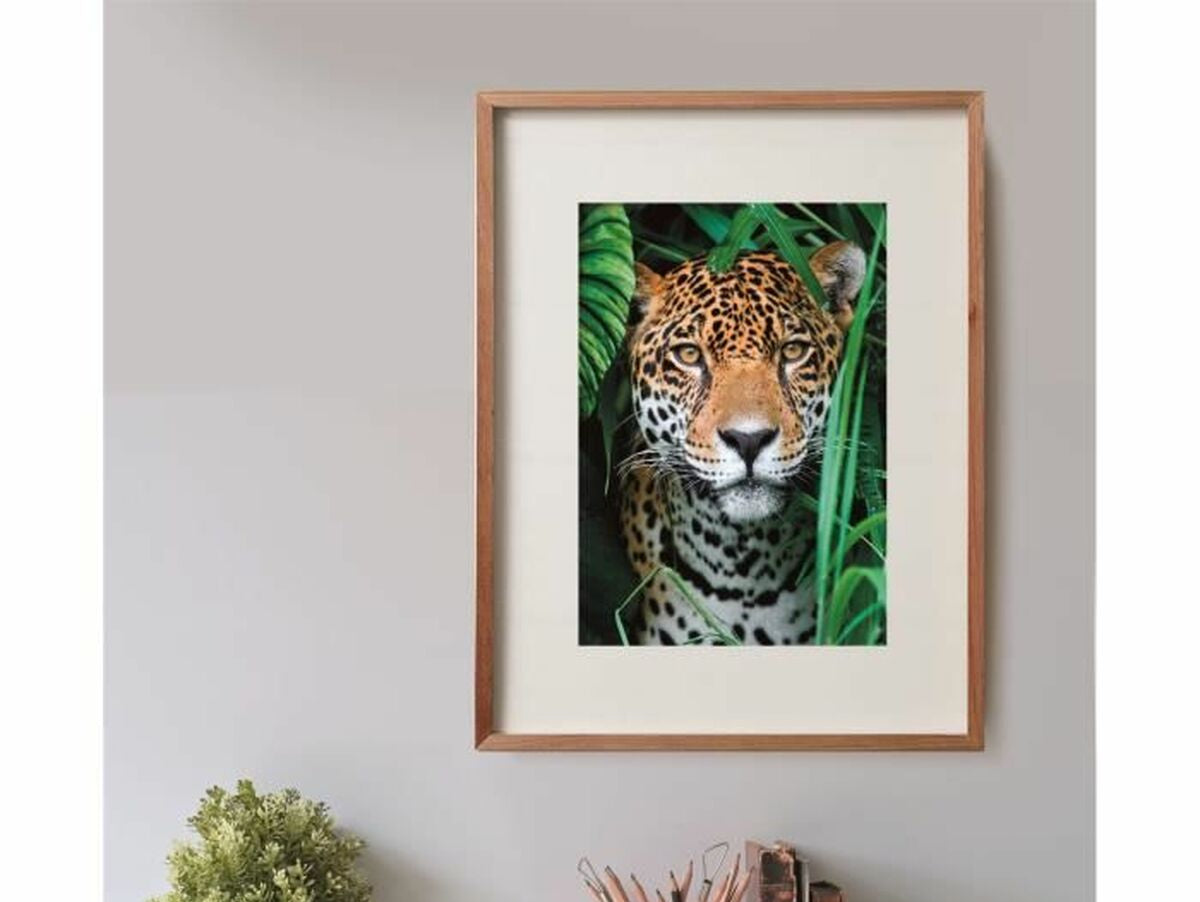 V5HBE5D836CFD928727CD89129A7AE98908R5803434P4