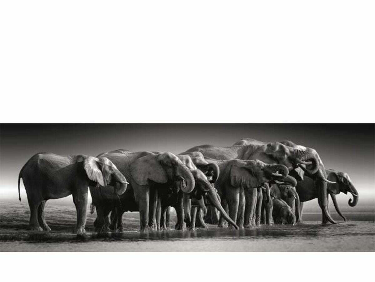 V5HE4E85B671280EABDB5C58D5C550E9601R5803554P2