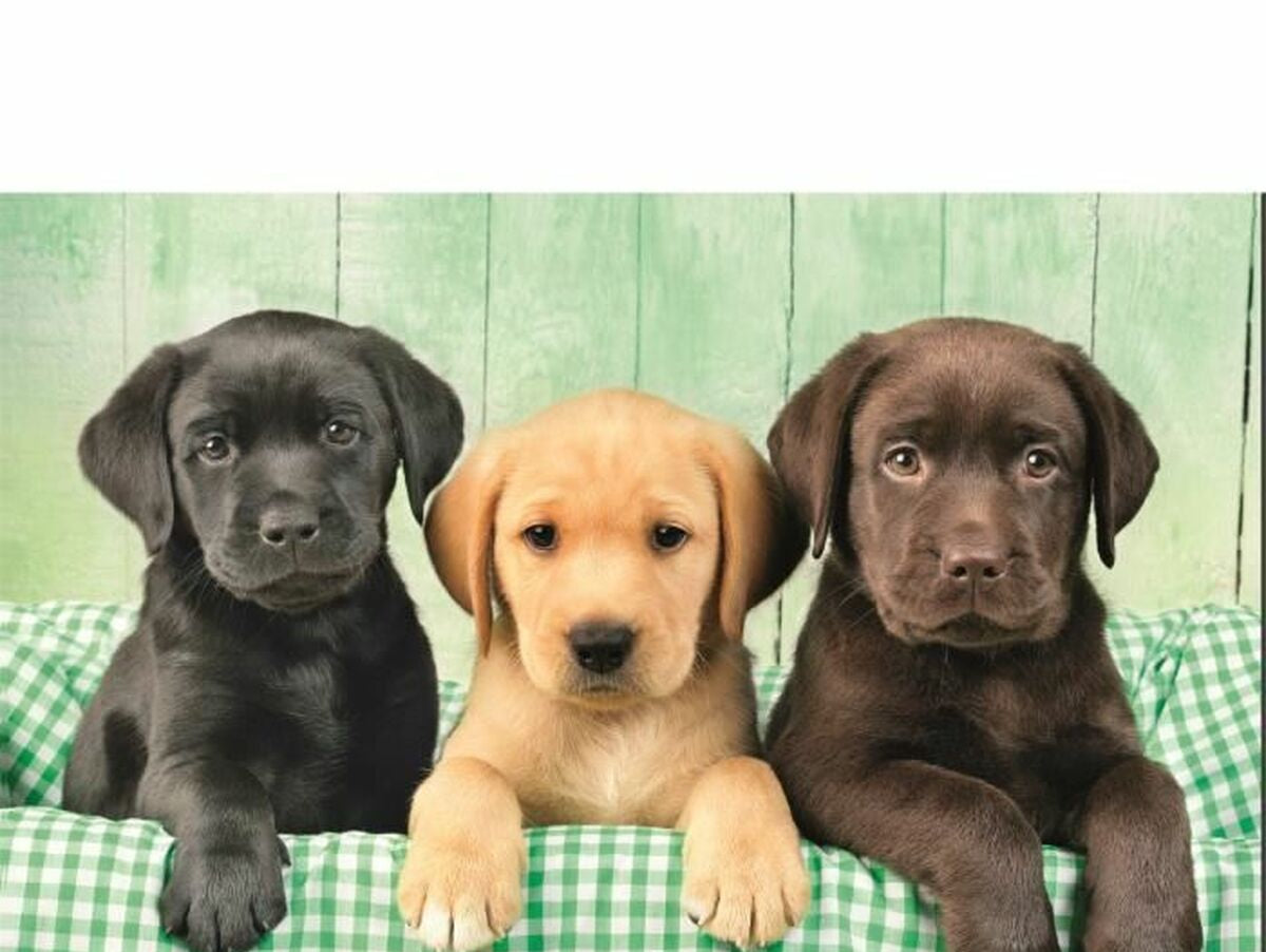 V5H002ACDD417047E14F93A513682505D1AR5803747P2