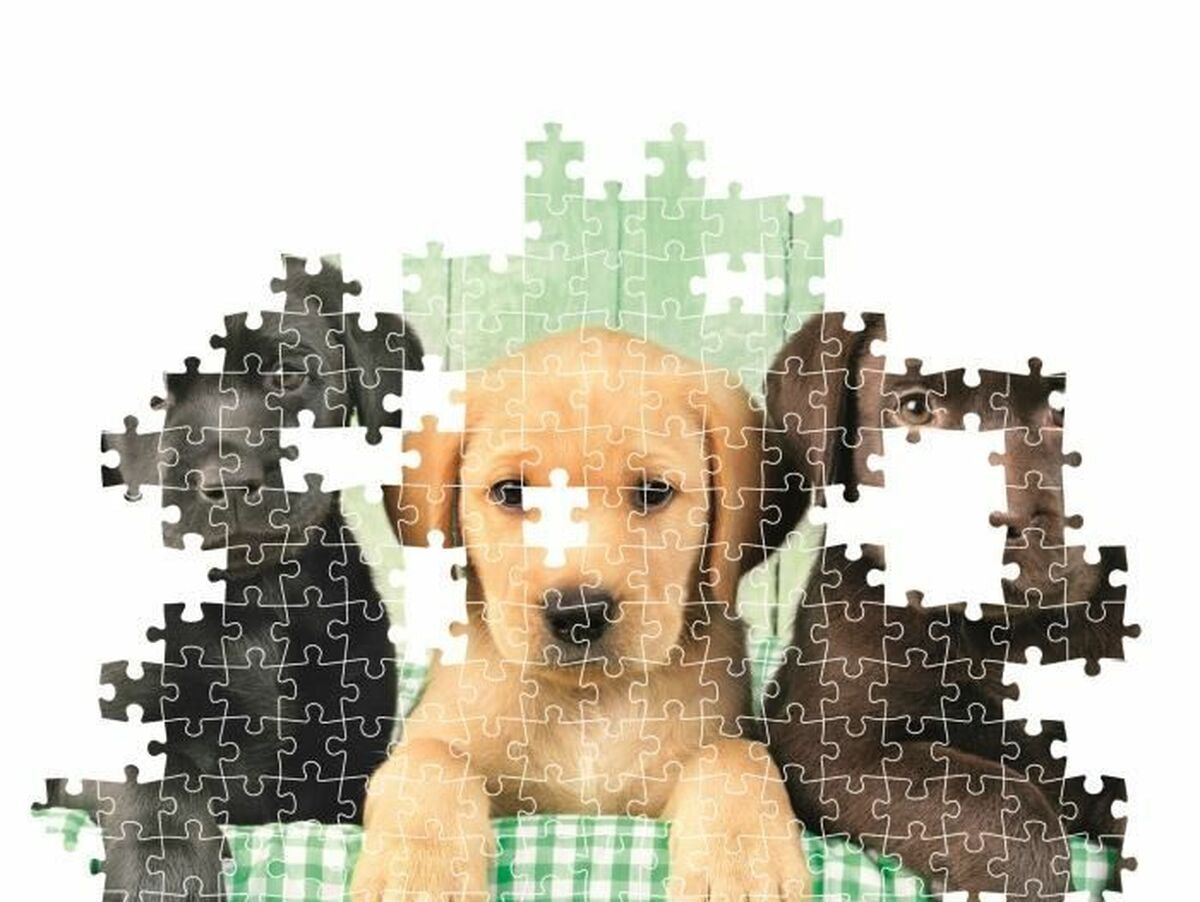 V5H4FCA8BD7E75C1C352E9864F073CE20C2R5803749P3