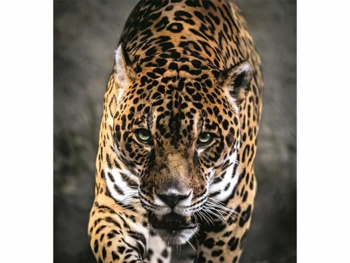 V5H57228B74142D155149AEB4EFDC3E85B7R5803591P2