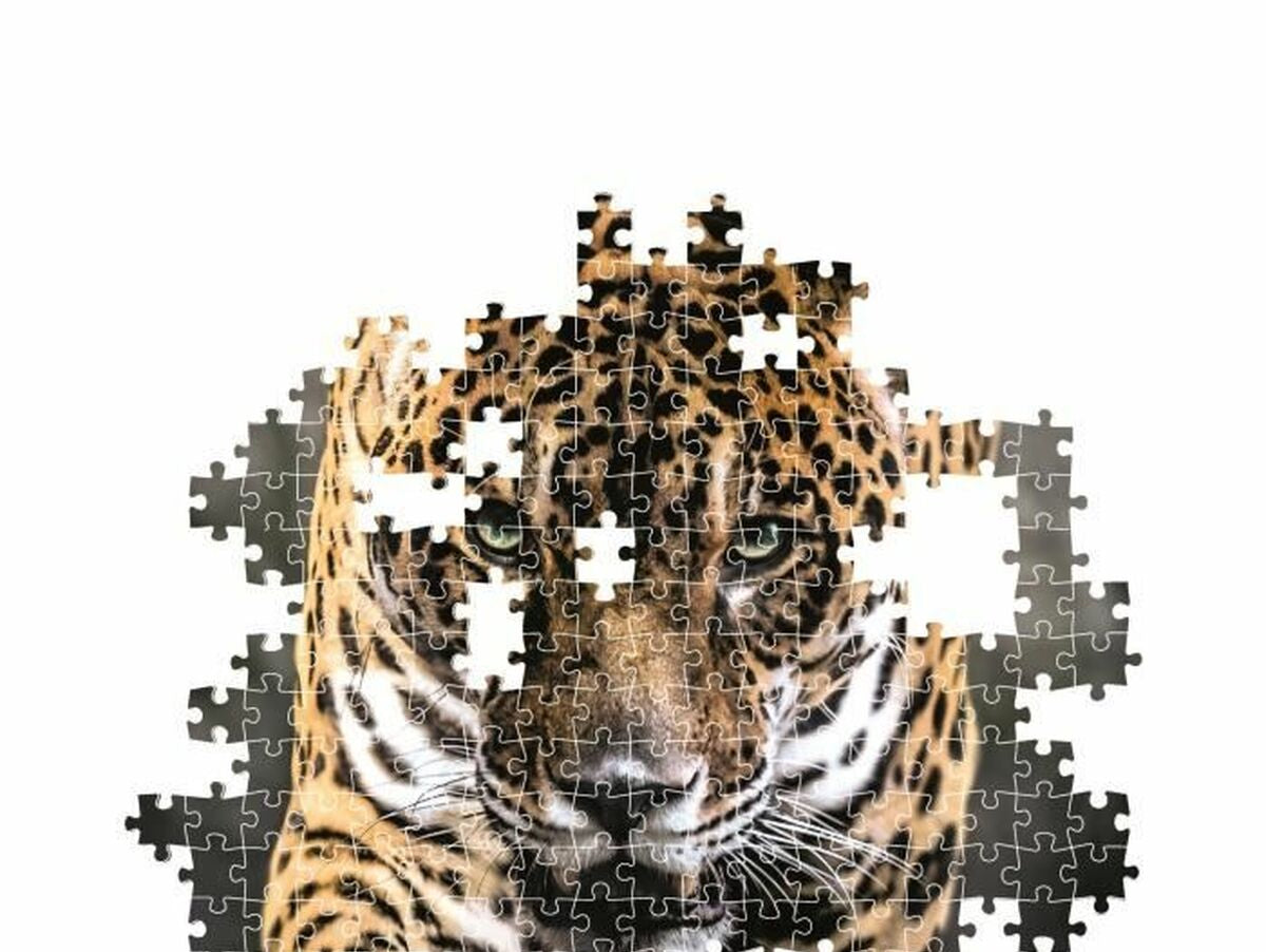 V5H2E8AAD2FE25EB83C0CDFBD0D5FE7DC63R5803594P3