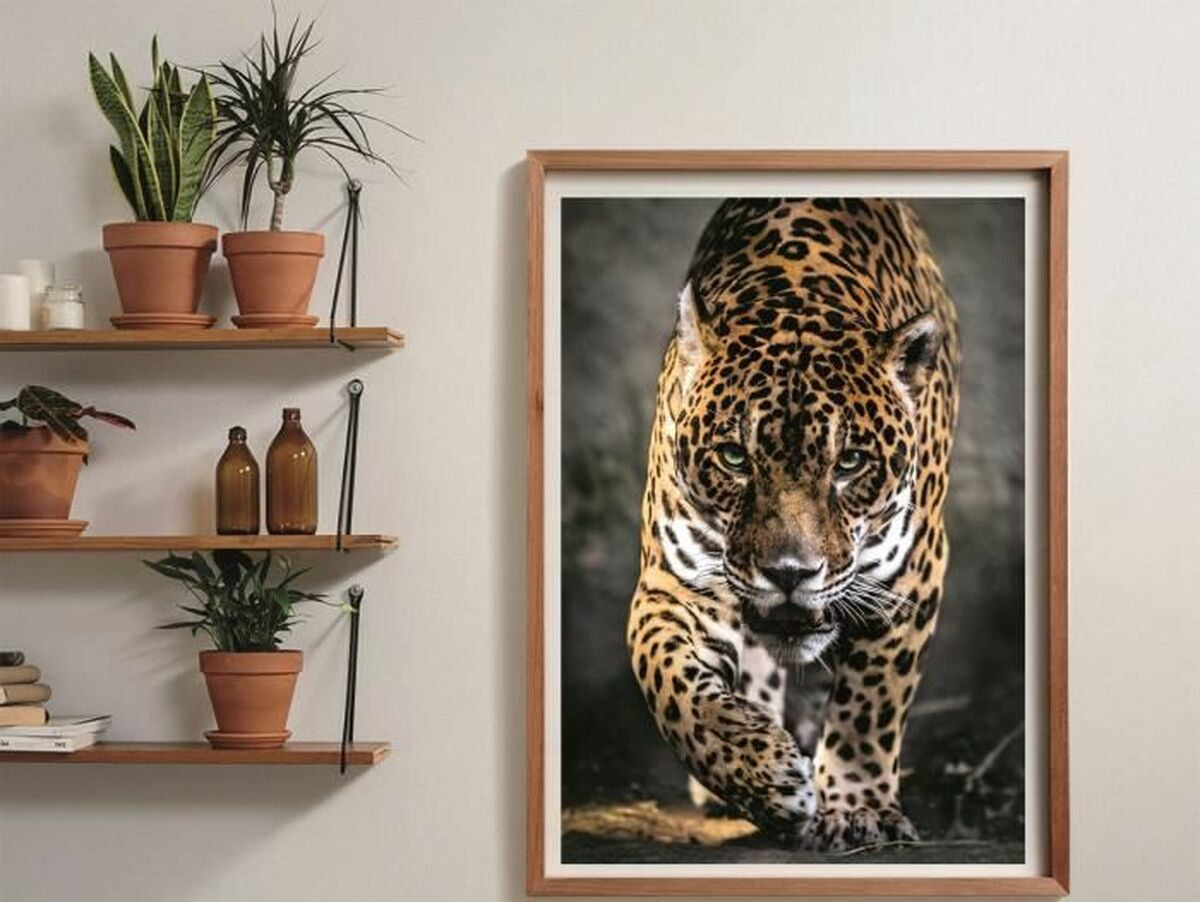 V5H57EF48BE8BA1395DCB22C1106AB9A69DR5803596P4