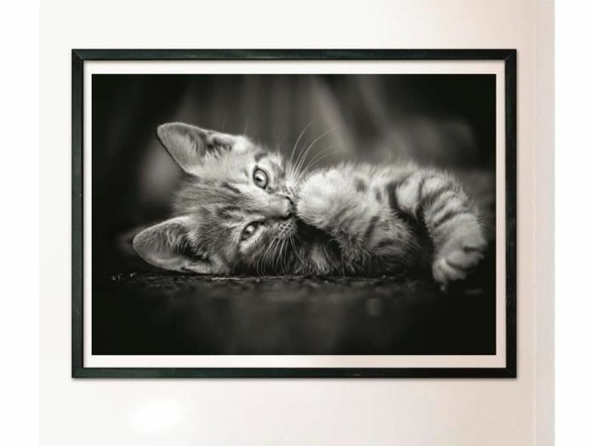 V4HC6CA1AA47DC8D1A90247BB0601AACA73R5803517P4