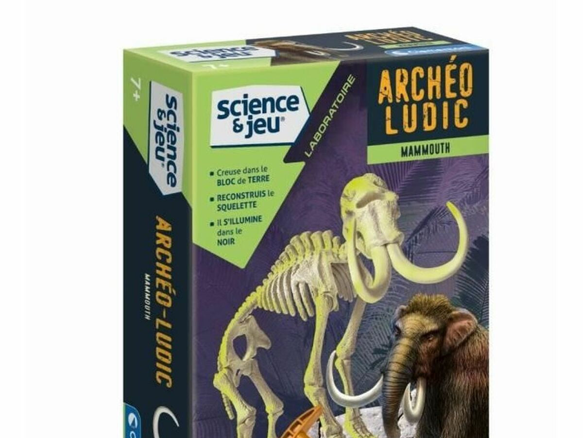 V8H0ABD5074E1F93D6C69CBC3F5F4D5B5DER3868601P1