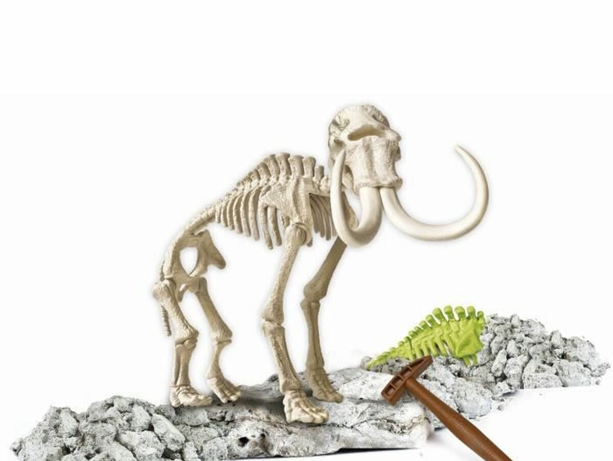 V8HFD5BAC0EB254AA30D14B9AA7BA1DBFDFR3868605P3