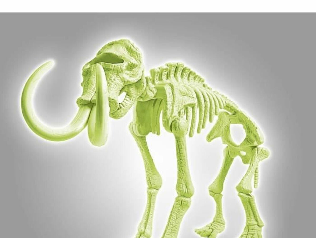 V8H25E0A82FB49B0DFA28C581F757B6640ER3868609P6