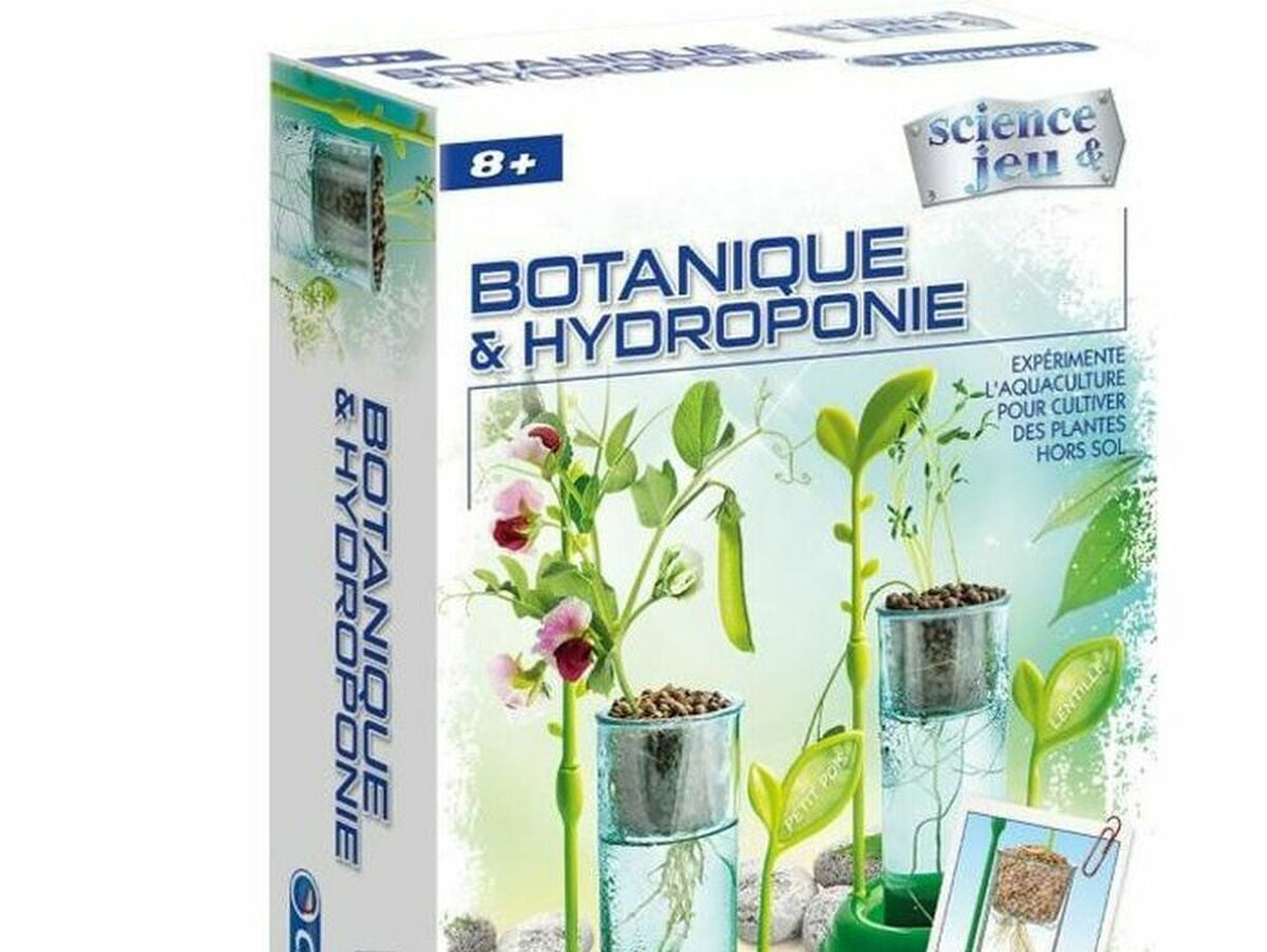 V8H2E0CC278D6C5ACA0DD0B59682F752306R6611593P1