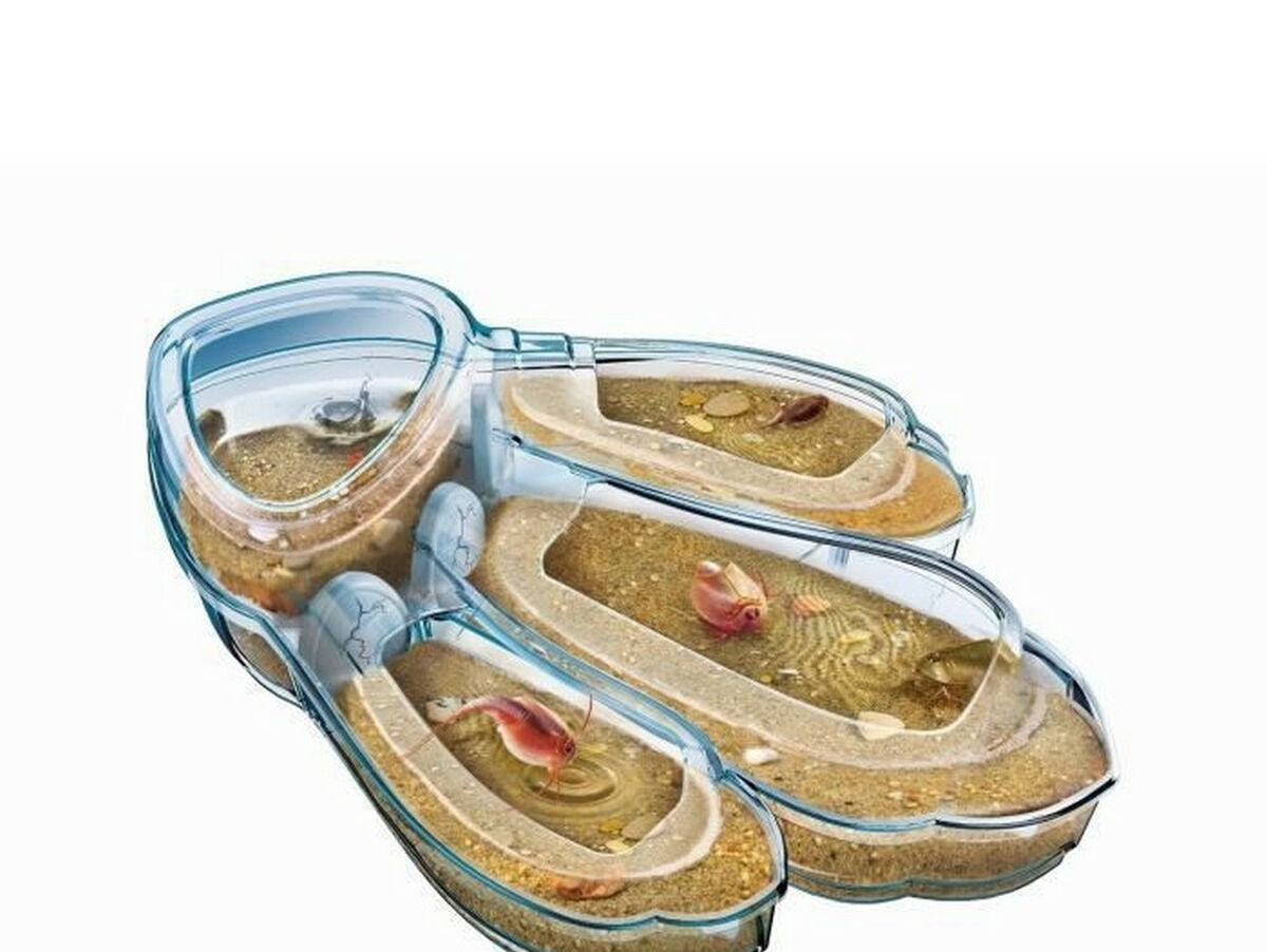 V8H2B86B582D7F26C92C9F4B4336AD560EAR4988377P2