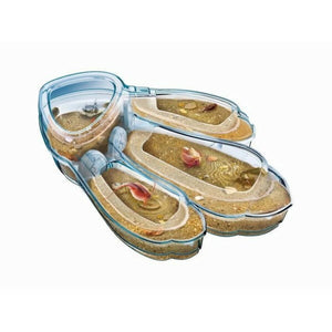 V8H2B86B582D7F26C92C9F4B4336AD560EAR4988377P2