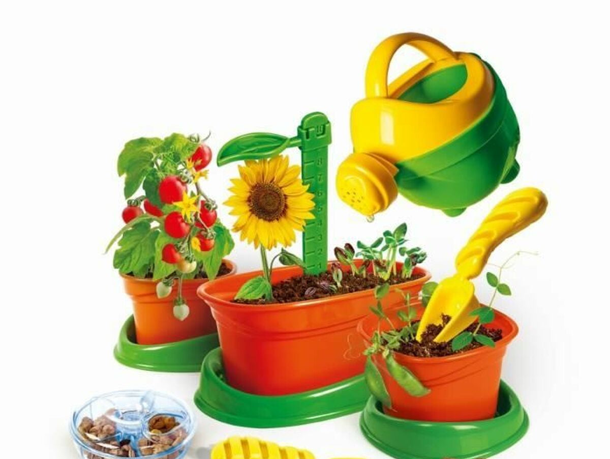 V5H5AD557C8E4369E42D00995EAFE8D6889R5917173P2