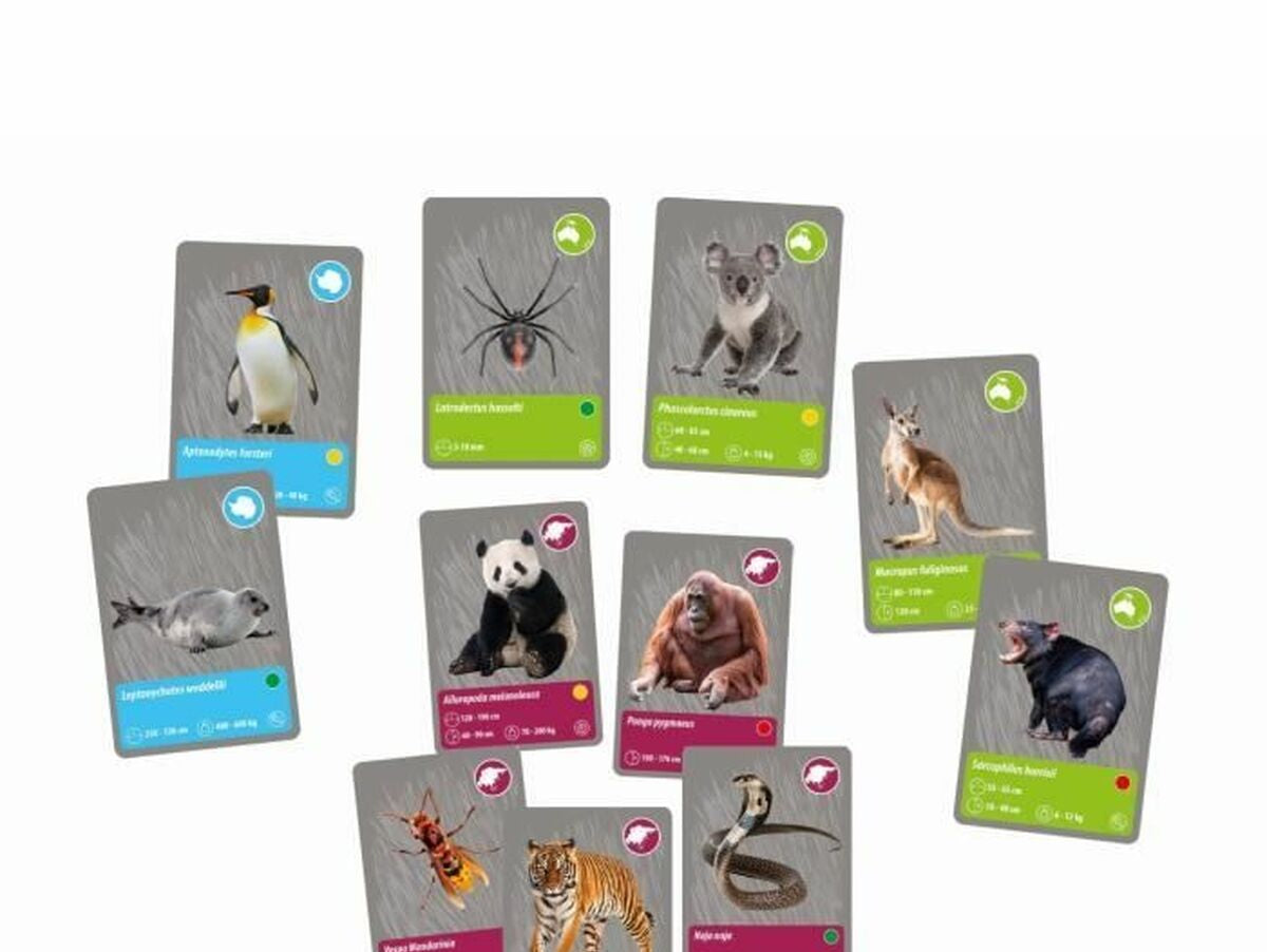 V5H001AB66629E864FF0EAF81919CF94E6FR5288393P6