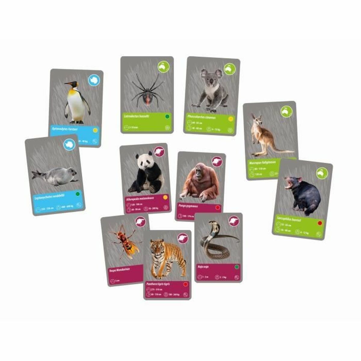 V5H001AB66629E864FF0EAF81919CF94E6FR5288393P6