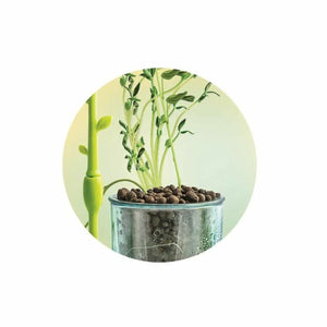 V8HE4F68050A9F92C968B0BACC7D6E9204AR6611579P4