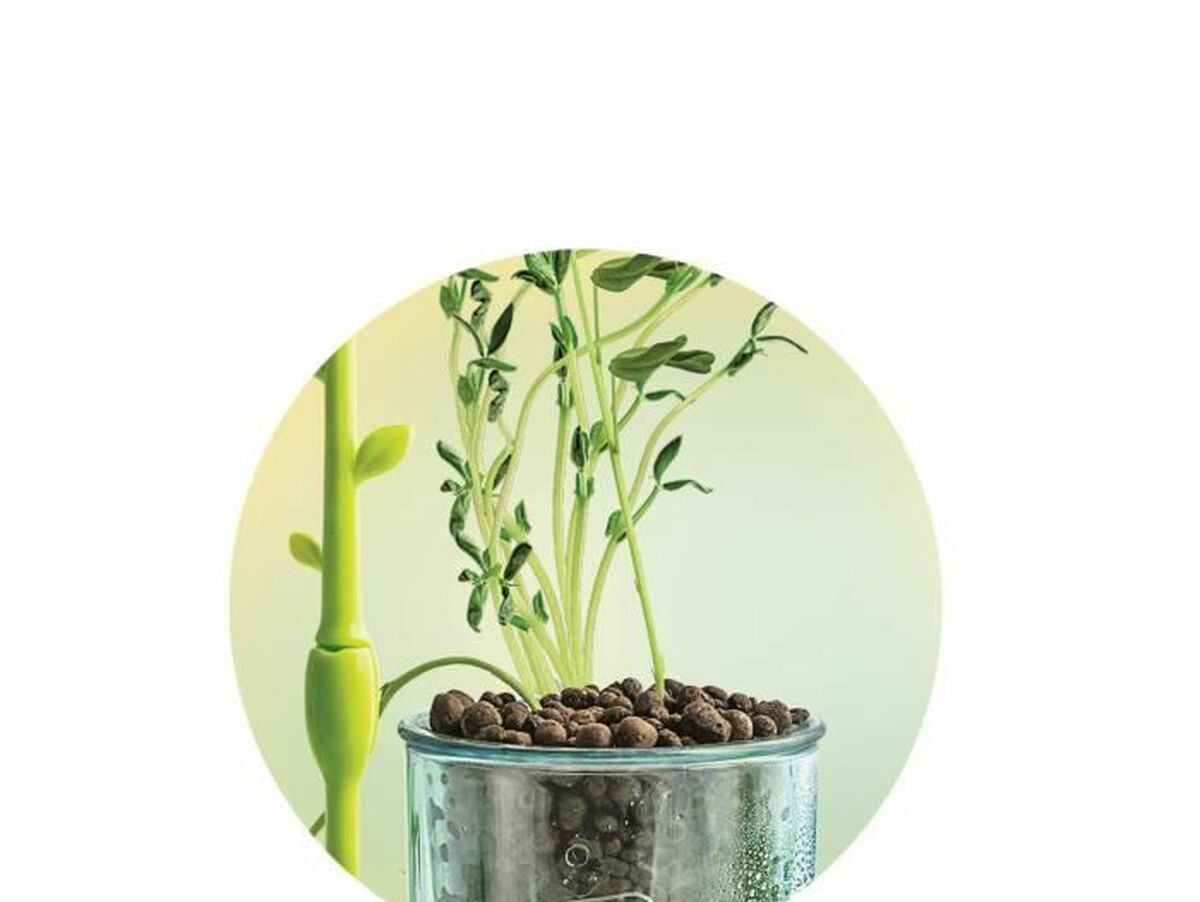 V8HE4F68050A9F92C968B0BACC7D6E9204AR6611579P4