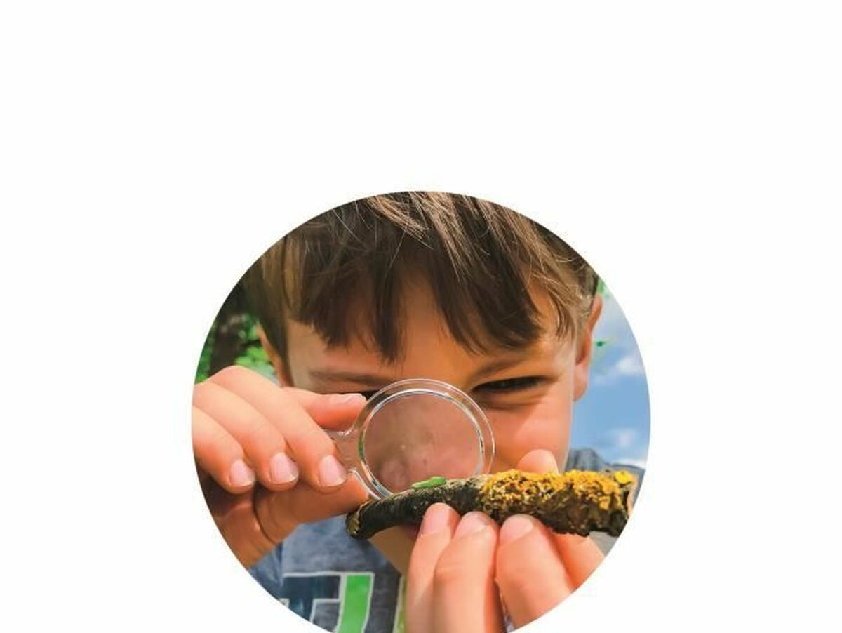 V4HE08C81F6F8C27FC5B67FB33161E59749R7025282P4