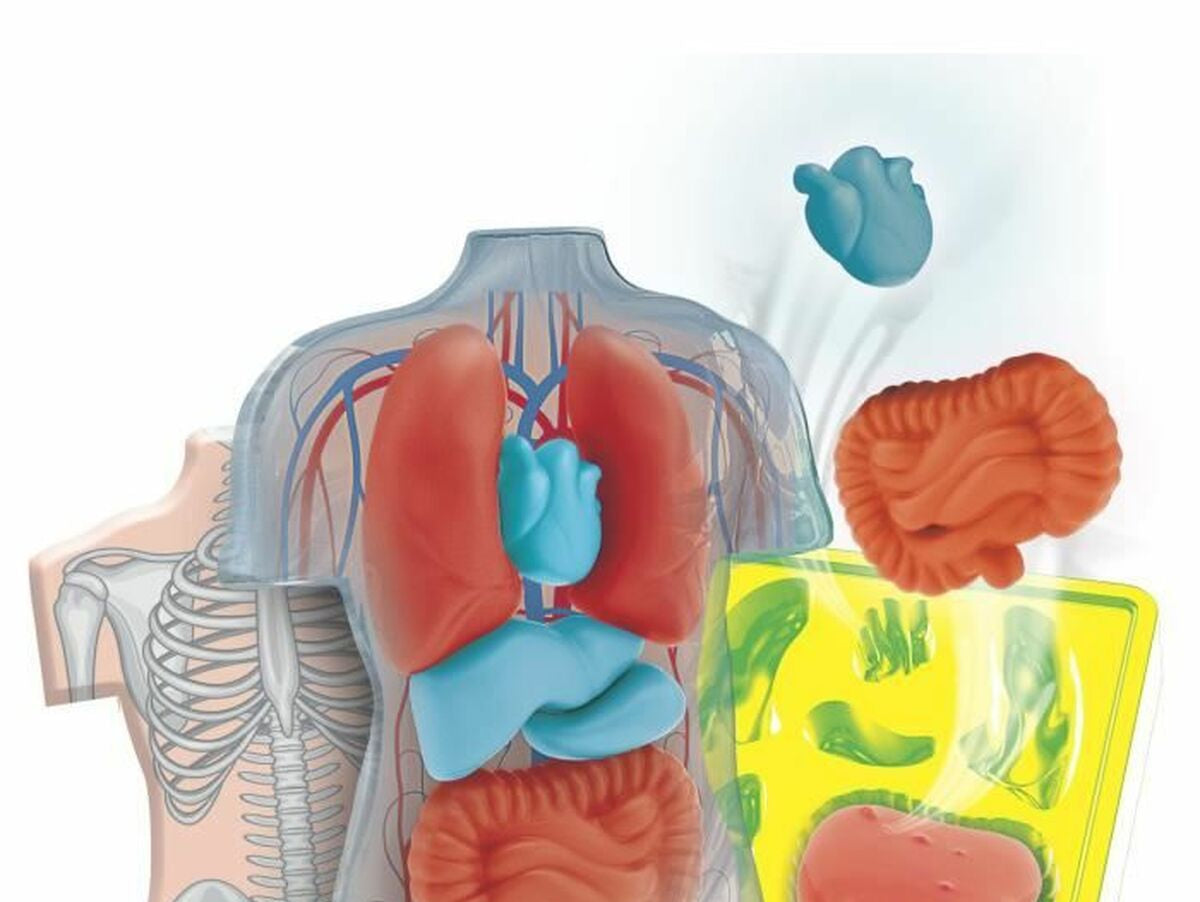 V6H6AEDC6978E95D8BD8DBD728CA8910552R6495471P2