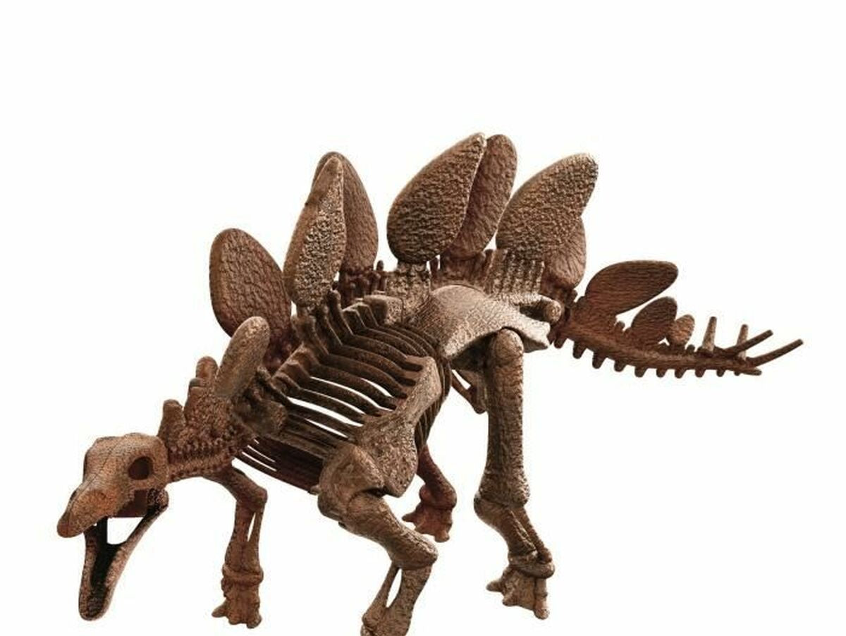 V8HE4FE37FFEE15888E9596283D8E2C0926R6611219P2