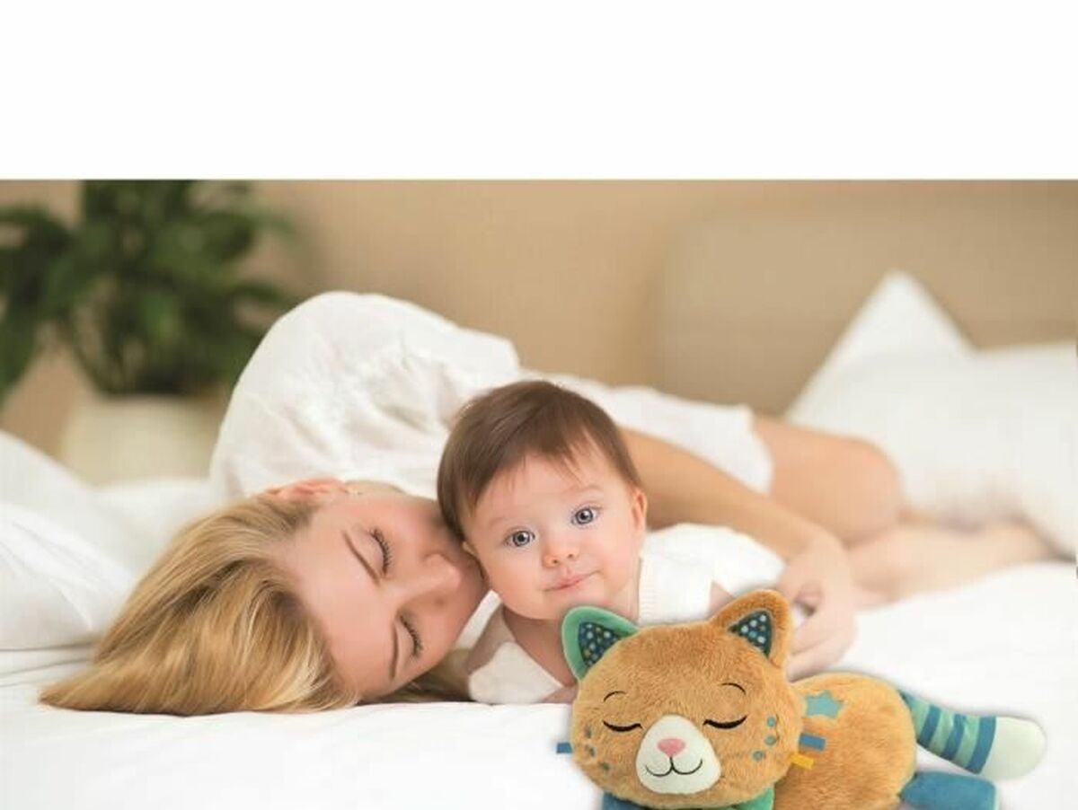 V4H6781E1DA9424C2FAFC1E6DC705C15203R7072116P3