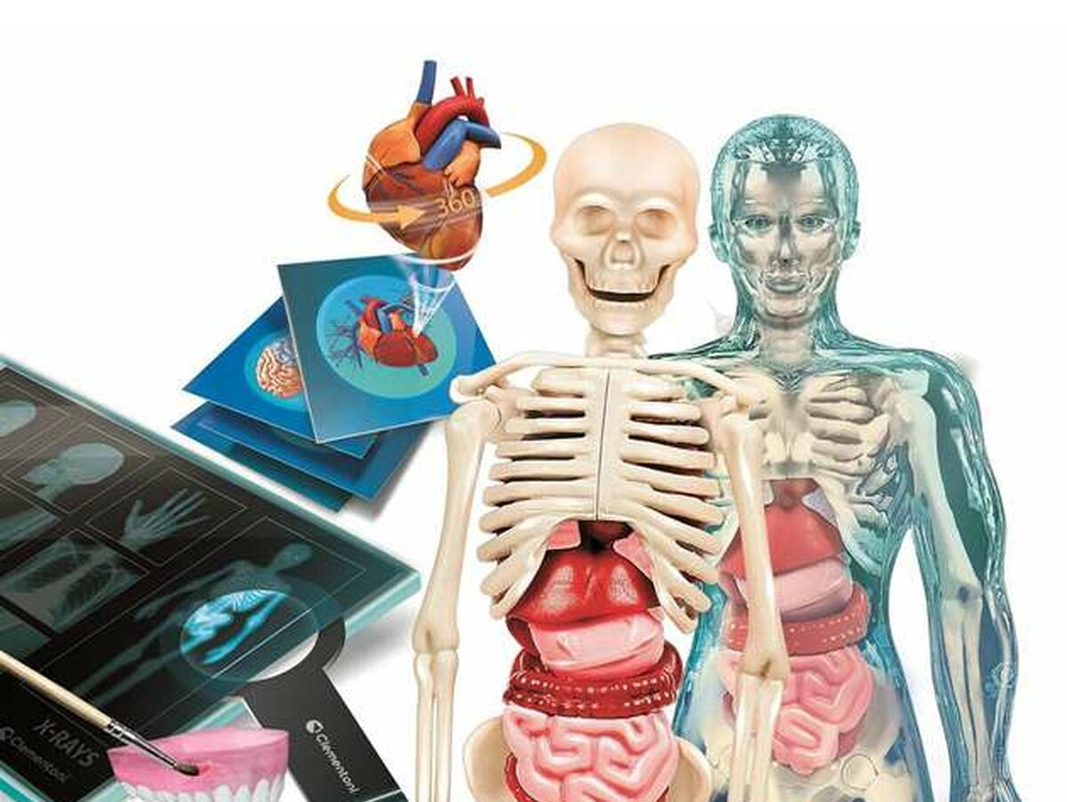 V7H59A1C15E5D79B2D356FF4FD0582244EFR5691434P2