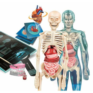 V7H59A1C15E5D79B2D356FF4FD0582244EFR5691434P2