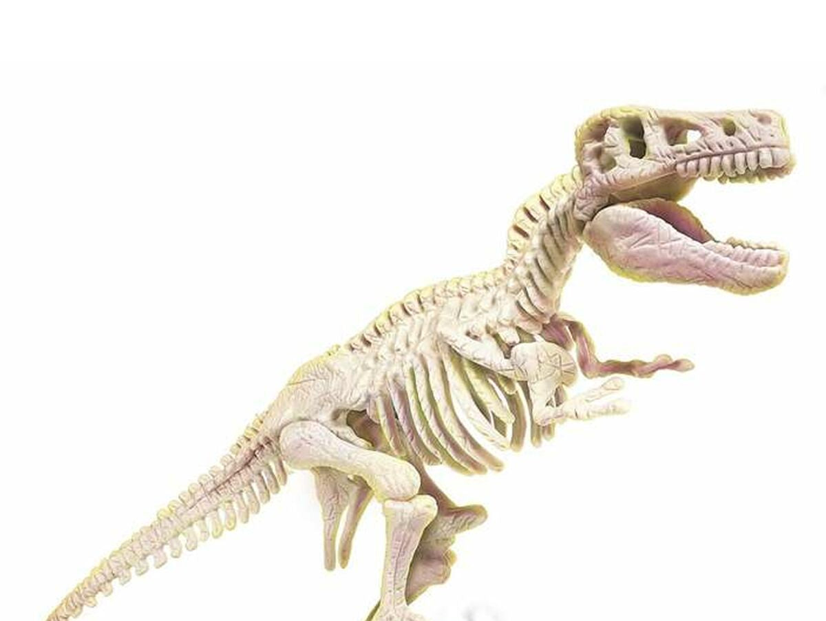 V6HB7813E74B35FC44E9F936B6B795CE878R4424543P2