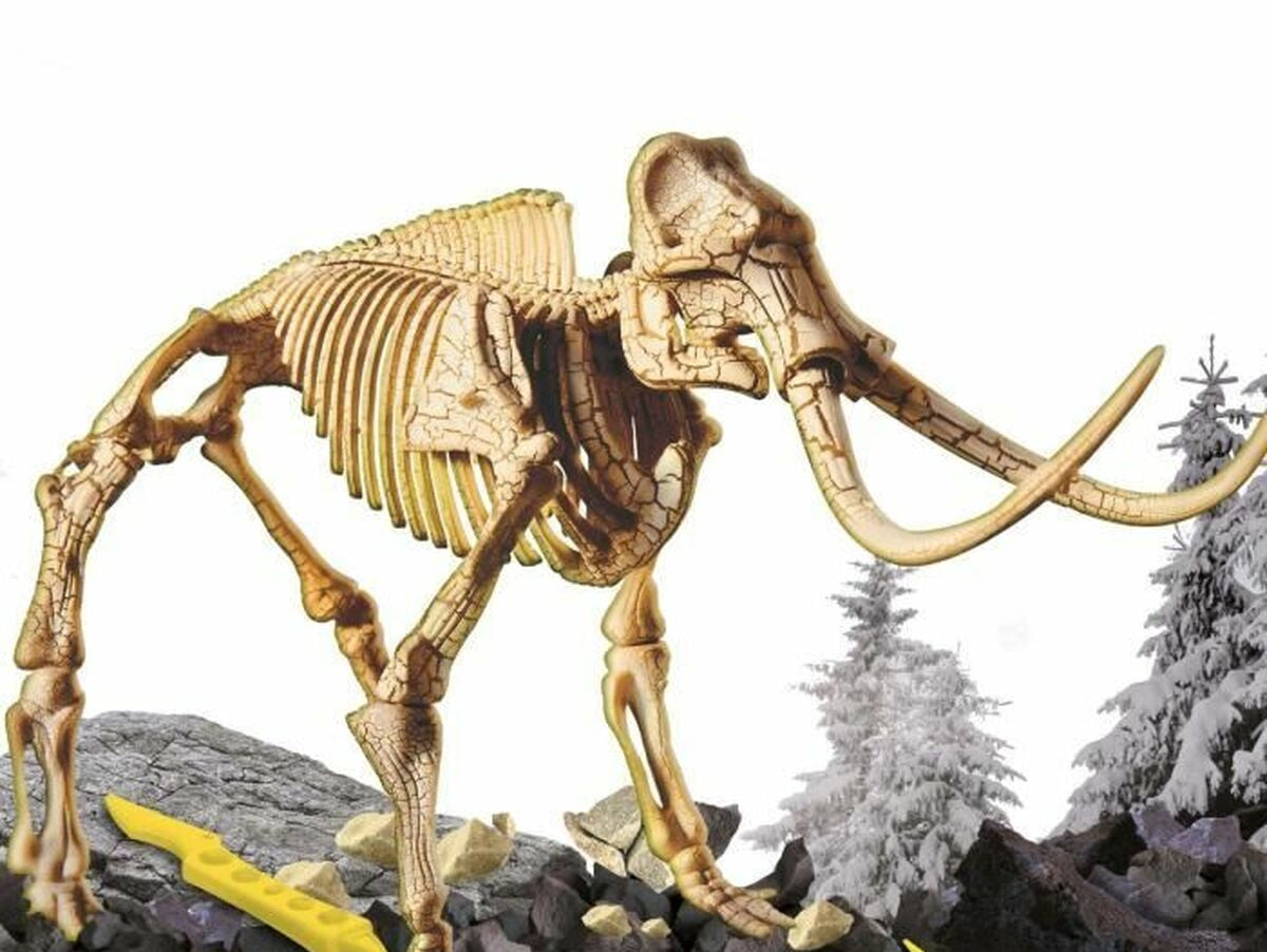 V5H0C03D8ACBBA47258C9DF4DA284826580R5918072P2