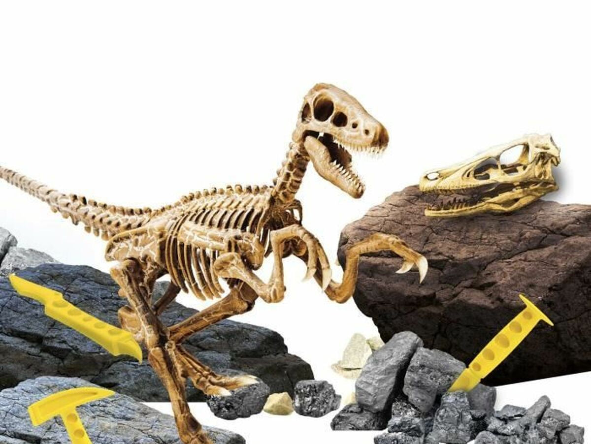 V5H7486273B646BE8B083CC9A6F5D007D0DR5917891P2