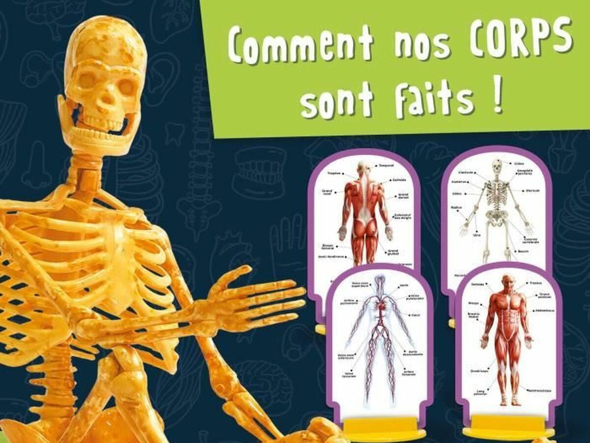 V5H40BA5568BBBBABD4CD97224EDC8A1B4DR5766848P3