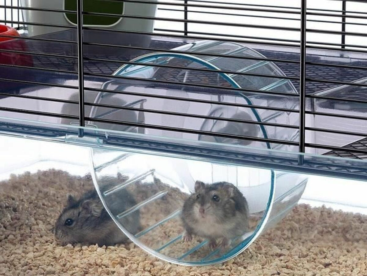 V5H627BB75EA32032942013D8D0CF84384ER5780457P4