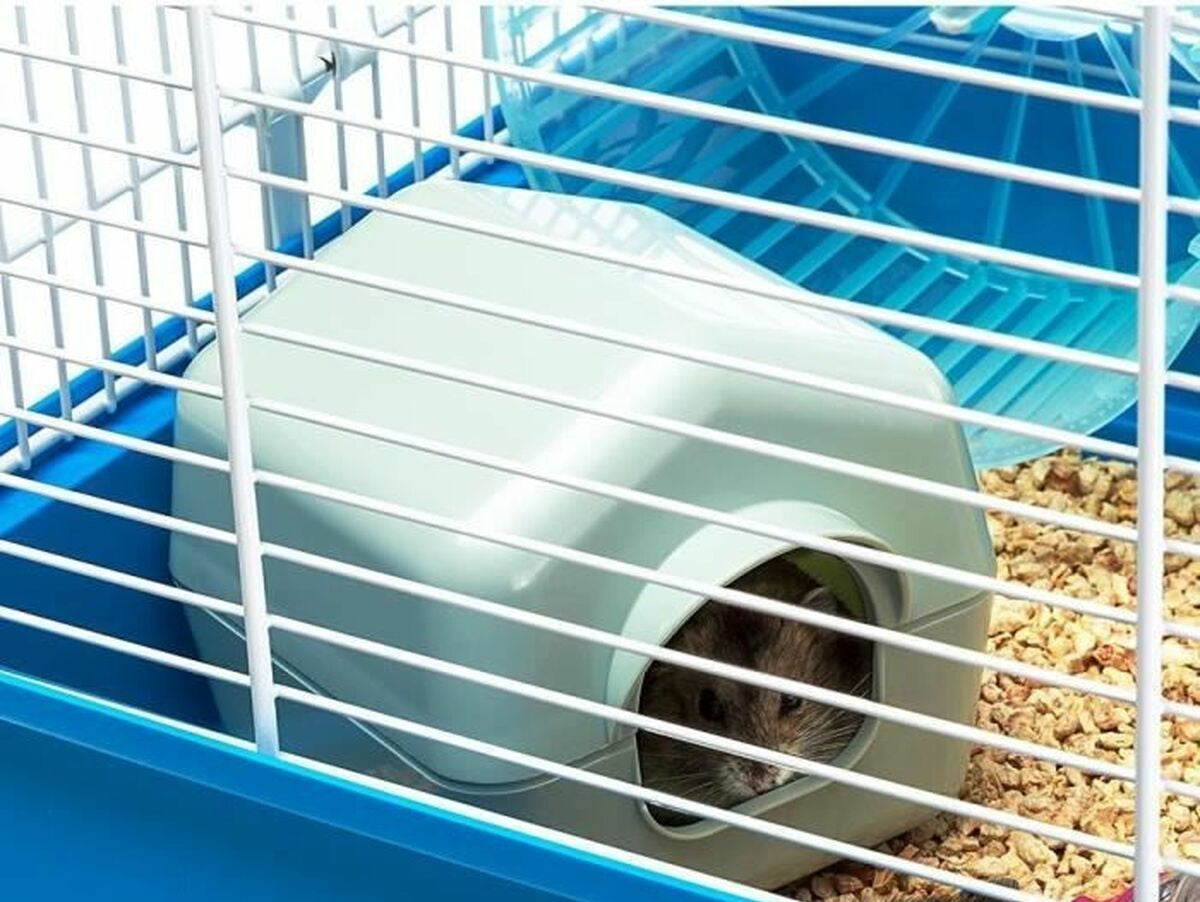 V5HCE75E9C1EFC8EE9E069B6AB1E76786D7R5780489P5