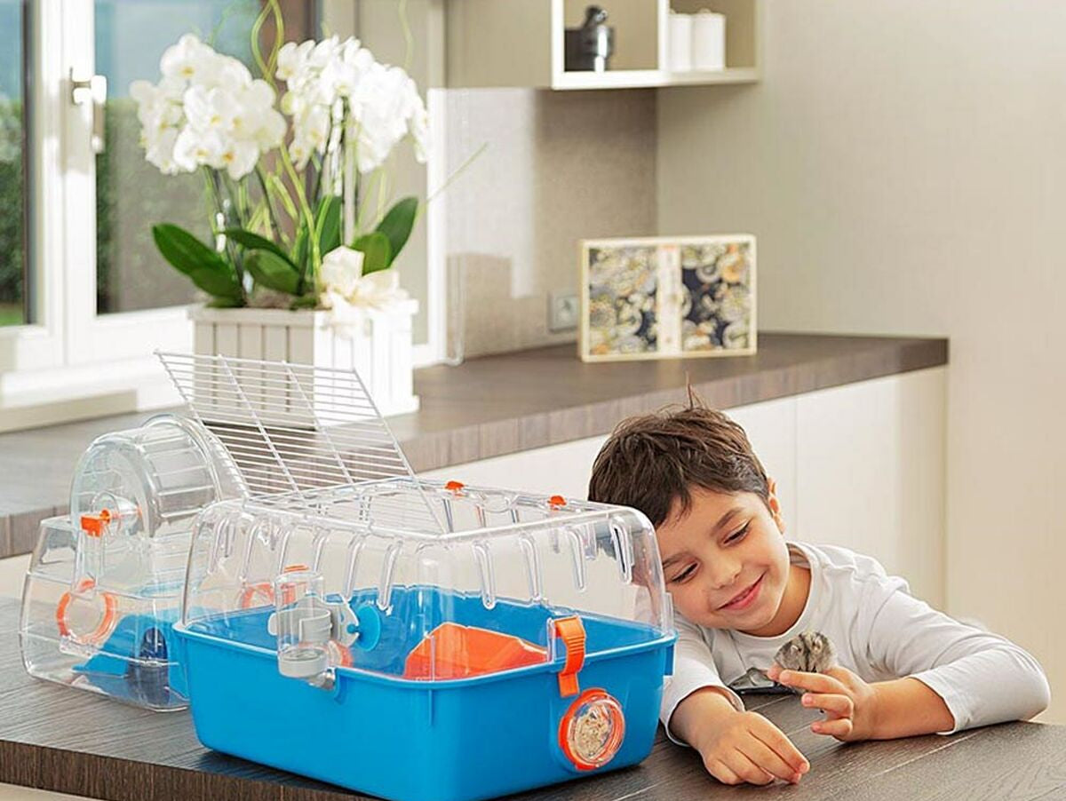 V8H37FA6ABDE8C85A82EA6320D107D82D93R3749113P4