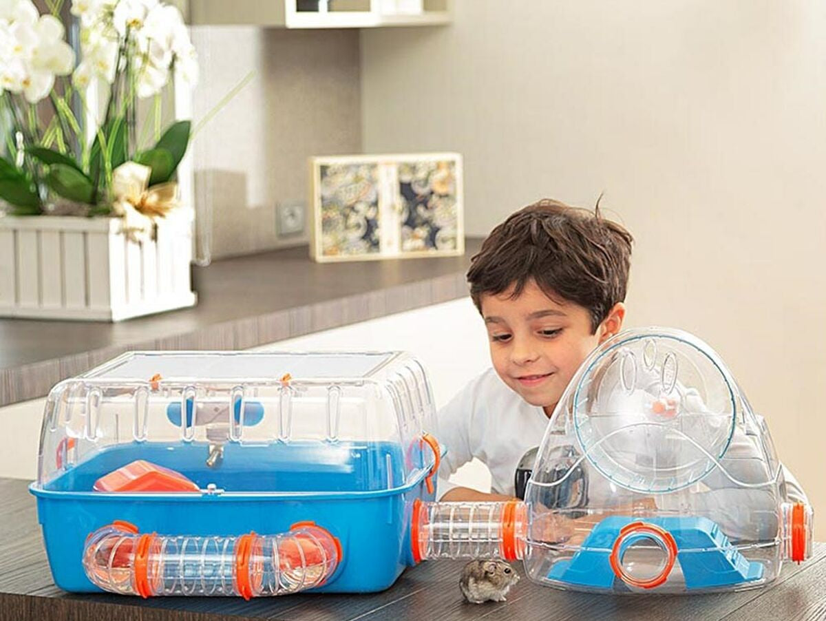 V8HB4ADC111D8D040A8C45E03066A55E4C0R3749114P5