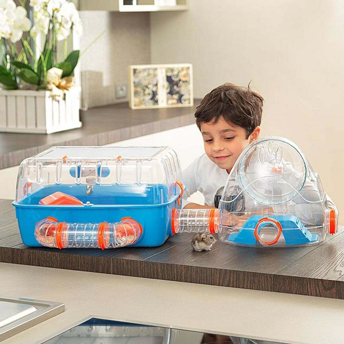 V8HB4ADC111D8D040A8C45E03066A55E4C0R3749114P5