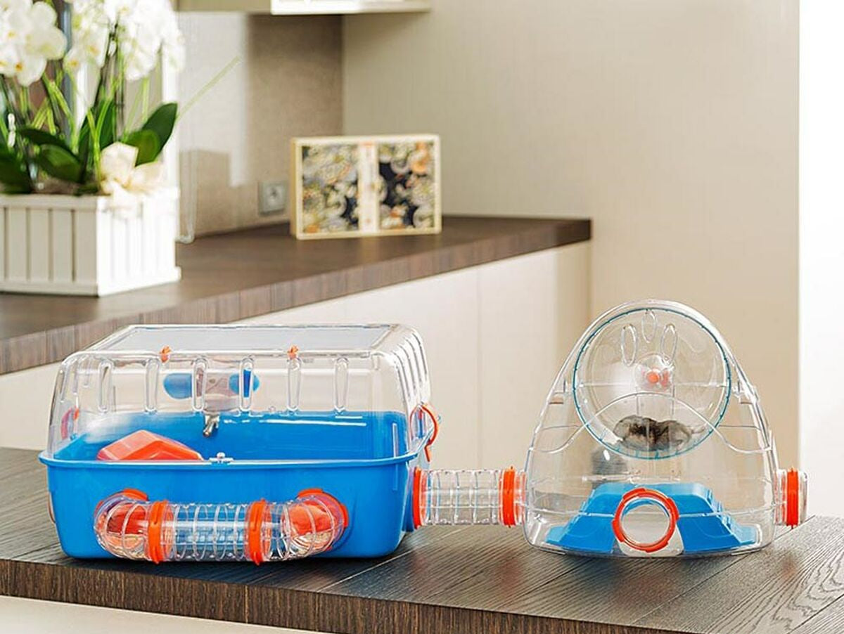 V8H927E5D4F7B17B18CEA3A377957A766E6R3749115P6