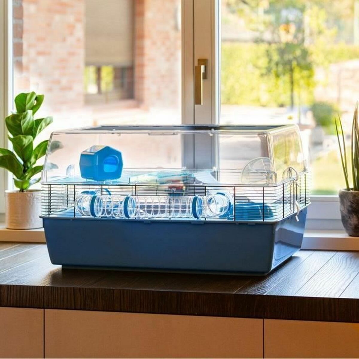 V5H41CB2FDD7BB3F9882D1EA8BEEBEF5CF5R5780515P3