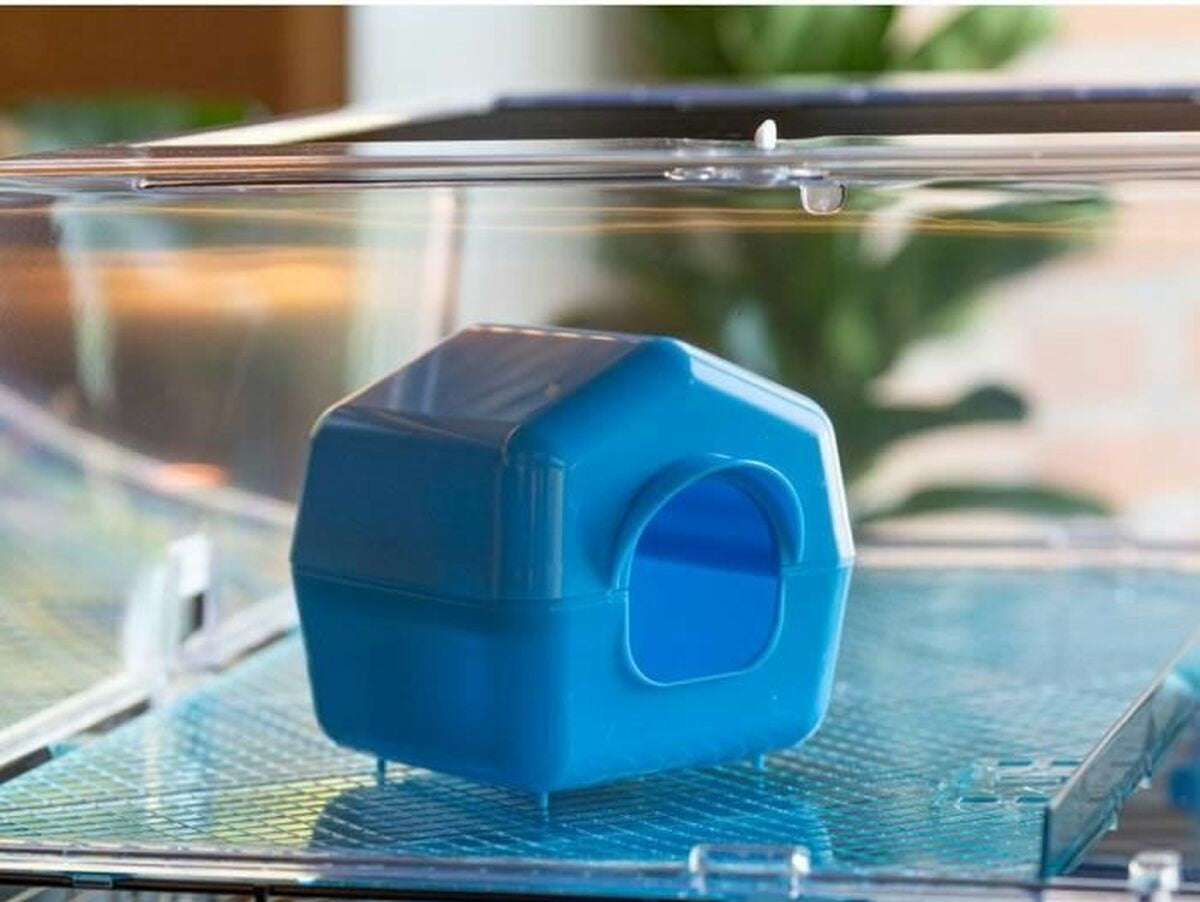 V5H5E887399E0E1CE6C9B21A6FFB2056D45R5780519P4