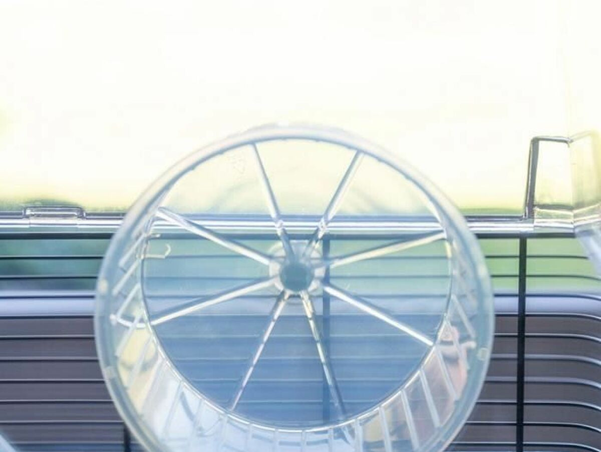 V5H1B15D0795597464CB2B8BE6C427DA79FR5780521P5