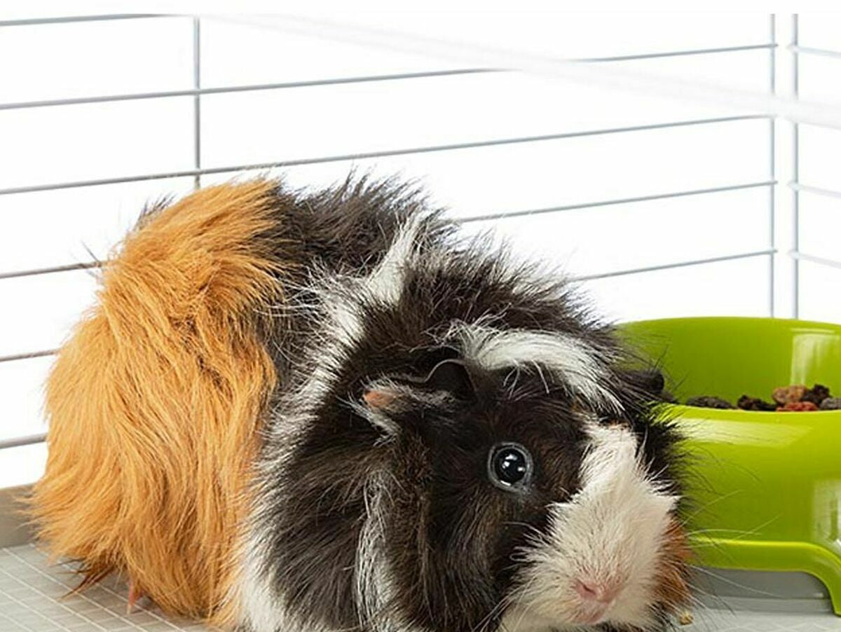 V4H9829E78EC95F1D4A190129727C3E2AD7R4948313P5